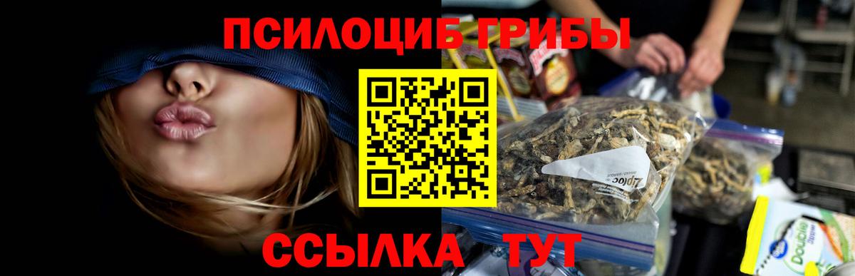 Псилоцибиновые грибы Psilocybine cubensis  Вход с VPN  Лысьва 